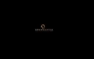 Abundantia Entertainment